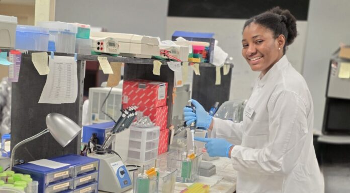 Pharmacy student awarded predoctoral fellowship for hypertension research Emmanuella Ezewudo in a lab coat uses a pipette at a laboratory bench with various scientific equipment and supplies.