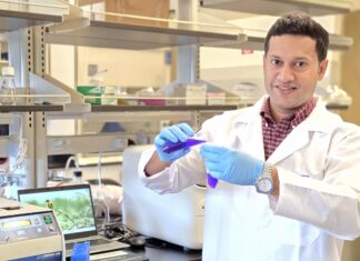 Pharmacy professor awarded grant to advance therapy for drug-resistant hypertension Dr. Raquibul Hasan in a lab coat and gloves handles a test tube with blue liquid in a laboratory setting.