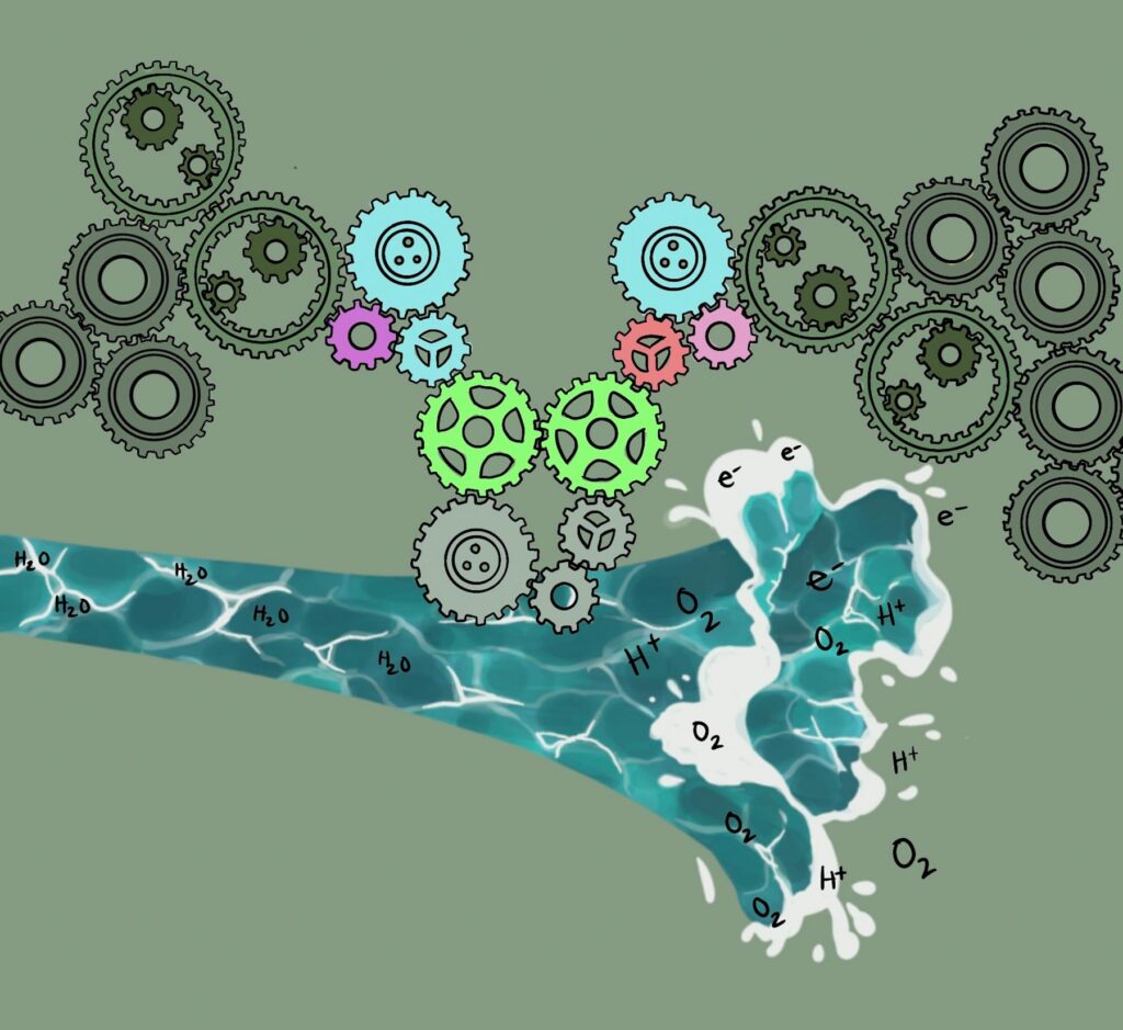 Water flows through gears with chemical symbols (H2O, O2, H+, e-) illustrating a process or reaction mechanism.