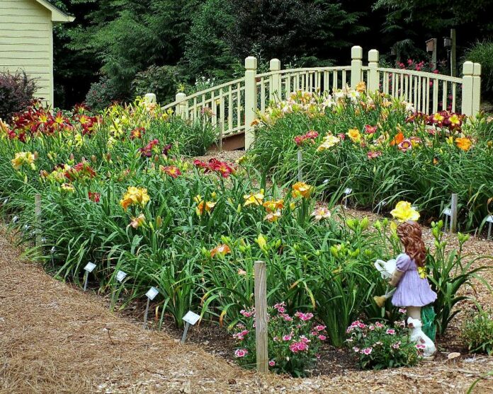 Rows of blooming flowers in a garden with plant labels, a small bridge, and a girl garden statue in the foreground.