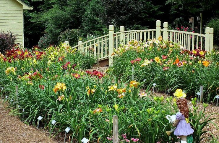 Rows of blooming flowers in a garden with plant labels, a small bridge, and a girl garden statue in the foreground.