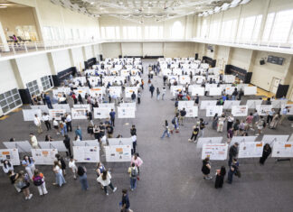 16th annual BEAR Day to showcase research, special projects in Macon Large indoor hall with many people viewing and discussing research posters displayed on white boards arranged in rows.