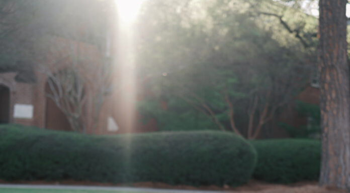 Graduate Spotlight: Gracie Wood Gracie Wood in graduation attire sits on grass in sunlight, smiling at the camera with trees and buildings in the background.