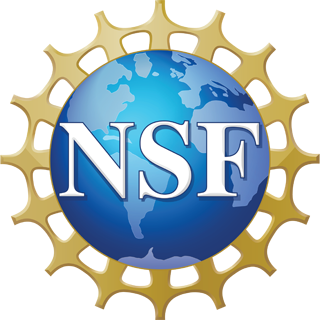 NSF logo with white letters on a blue globe, surrounded by a gold gear-like border.