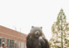 Graduate Spotlight: Pariss Nicholson Pariss Nicholson in cap and gown poses playfully with a microphone in front of the bear statue at Mercer.