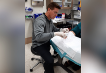 5-time Bear found path to a better future at Mercer A medical professional in gloves sutures a patients hand in a clinical setting.