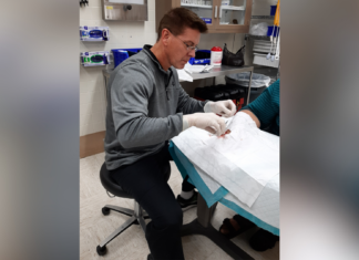 5-time Bear found path to a better future at Mercer A medical professional in gloves sutures a patients hand in a clinical setting.