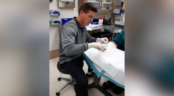 5-time Bear found path to a better future at Mercer A medical professional in gloves sutures a patients hand in a clinical setting.