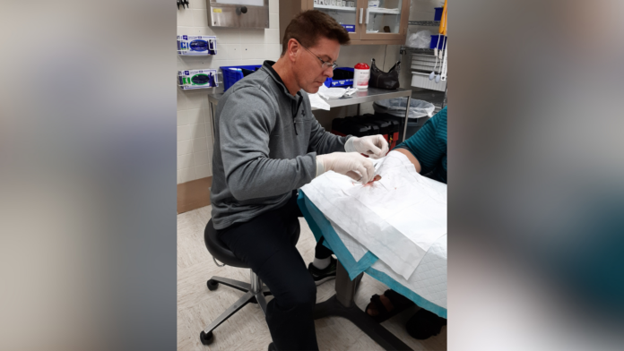 A medical professional in gloves sutures a patients hand in a clinical setting.