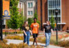Class of 2026 graduates offer this advice to incoming students Three students walk and talk on a college campus sidewalk near a Be the Bear banner and brick buildings.