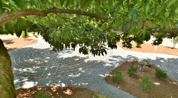What are you listening to? | Dr. Greg DeLoach A stone labyrinth is visible beneath tree branches, surrounded by shrubs and pine straw in a garden setting.