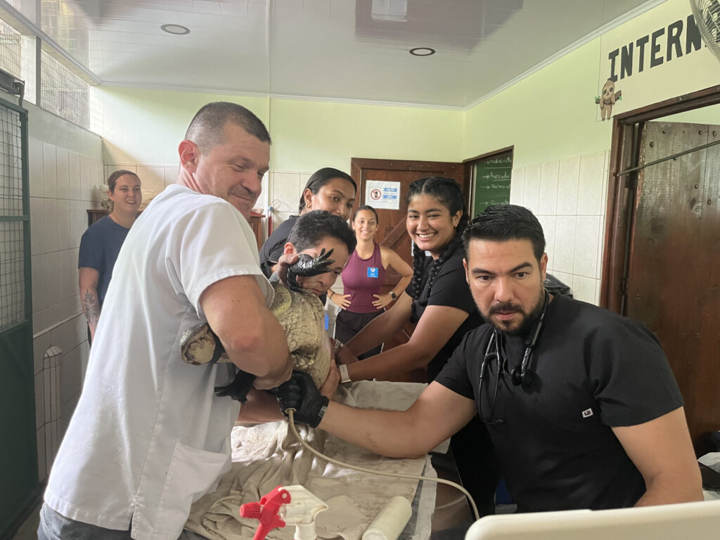 A group of veterinarians and staff examine a bird on a table in a clinical setting.
