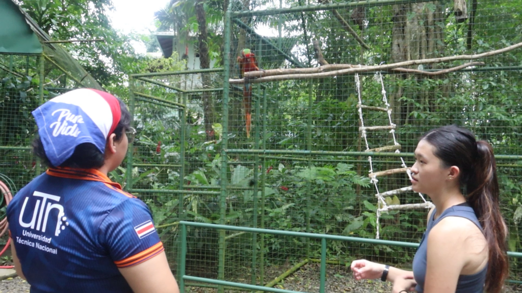 Two people observe a red parrot perched inside a large outdoor enclosure surrounded by greenery.