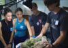 Mercer On Mission students provide wildlife enrichment in Costa Rica Four people examine a sloth lying on a table under a lamp.