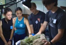 Mercer On Mission students provide wildlife enrichment in Costa Rica Four people examine a sloth lying on a table under a lamp.