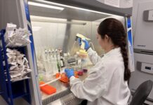 Summer projects introduce undergrads to research, Columbus campus Scientist in lab coat and gloves uses pipette at biosafety cabinet with various lab supplies and containers.