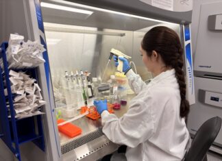 Summer projects introduce undergrads to research, Columbus campus Scientist in lab coat and gloves uses pipette at biosafety cabinet with various lab supplies and containers.