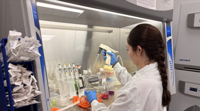 Summer projects introduce undergrads to research, Columbus campus Scientist in lab coat and gloves uses pipette at biosafety cabinet with various lab supplies and containers.