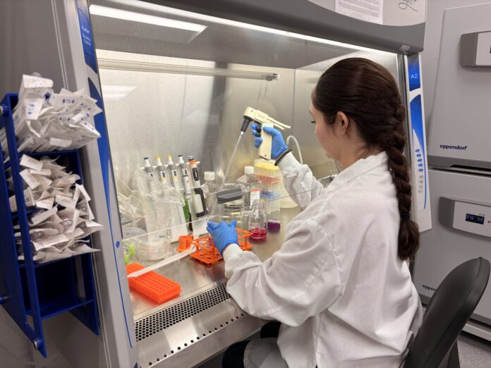 MURS Lily Scientist in lab coat and gloves uses pipette at biosafety cabinet with various lab supplies and containers.