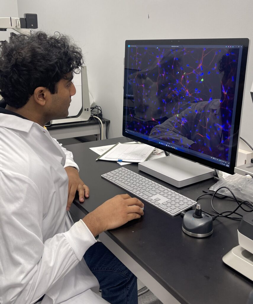 Person in a lab coat analyzes colorful cell images on a computer screen in a laboratory setting.
