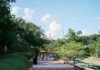 Faculty and Staff Notables | September 2026 Four people walk on a tree-lined brick path with two white church steeples visible in the background under a blue sky.