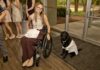 Doctoral student pursues passions in the classroom and the pool Woman in a wheelchair smiling beside a black dog wearing a white coat, indoors near glass doors.
