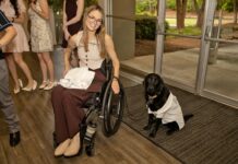 Doctoral student pursues passions in the classroom and the pool Woman in a wheelchair smiling beside a black dog wearing a white coat, indoors near glass doors.