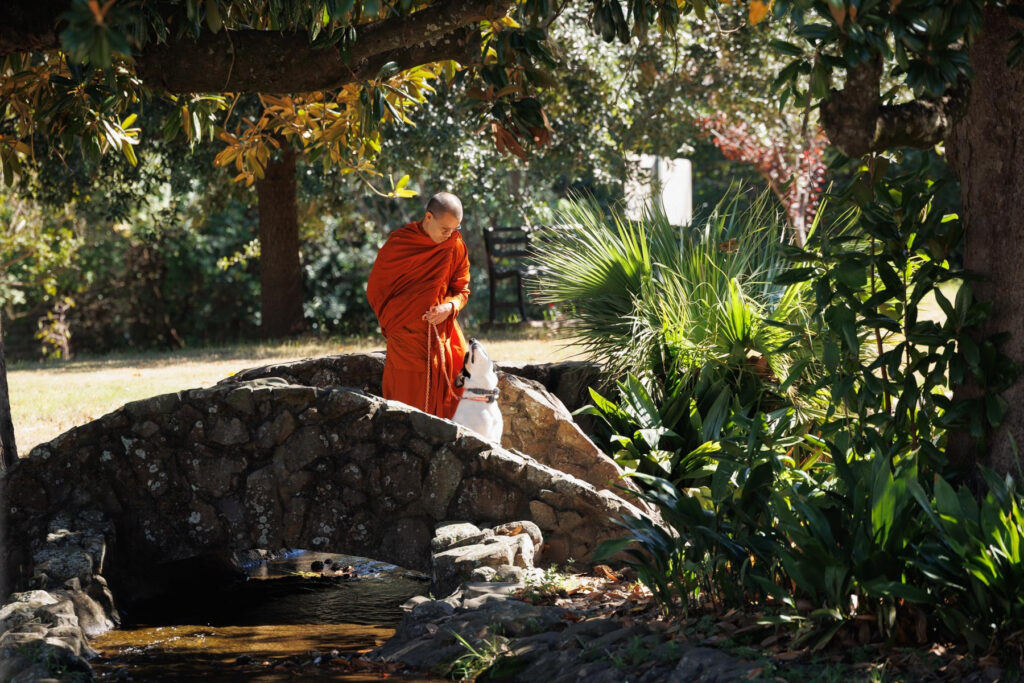 A Buddhist monk in orange robes standing on a stone bridge with a dog.