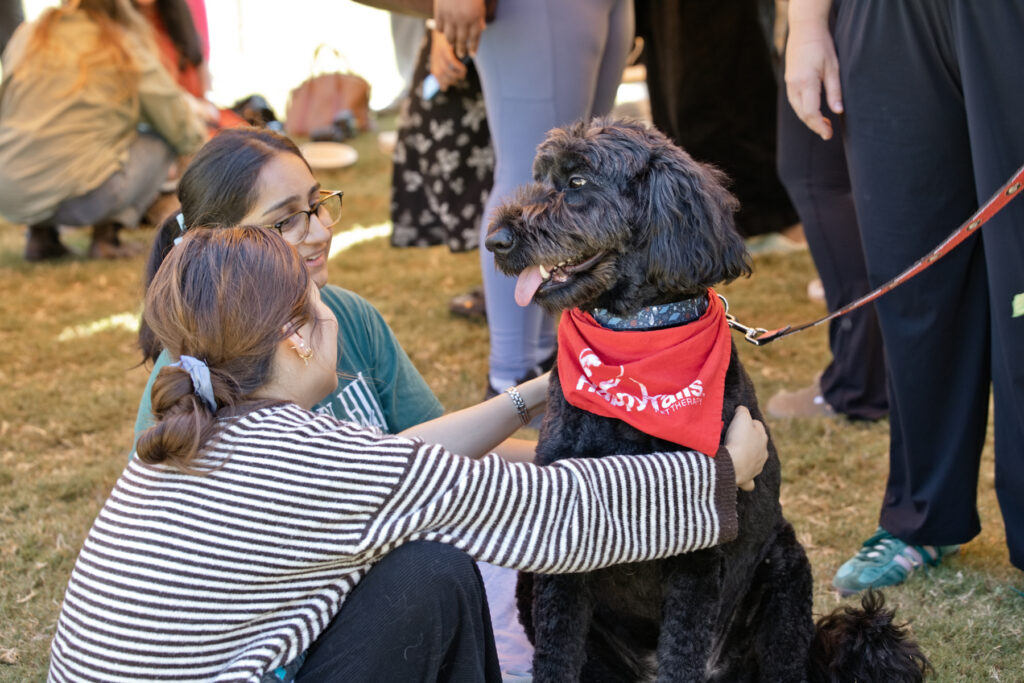 Two young women petting a black therapy dog wearing a red bandana.